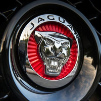 Баферы на Jaguar - Ягуар