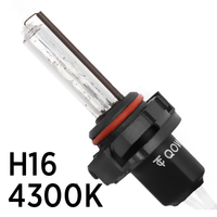 Ксеноновая лампа SVS H16 4300K