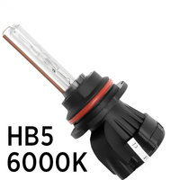 Биксеноновая лампа SVS HB5 6000K