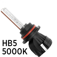 Биксеноновая лампа SVS HB5 5000K