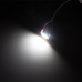 Российская светодиодная лампа Дилас C5W 36мм LG SMD5630 6 LED 1 шт